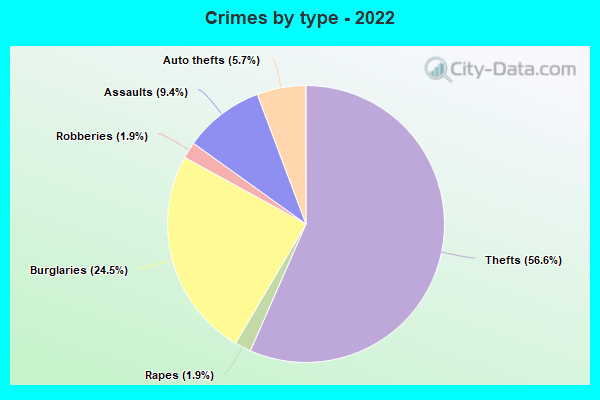 Crimes by type - 2022