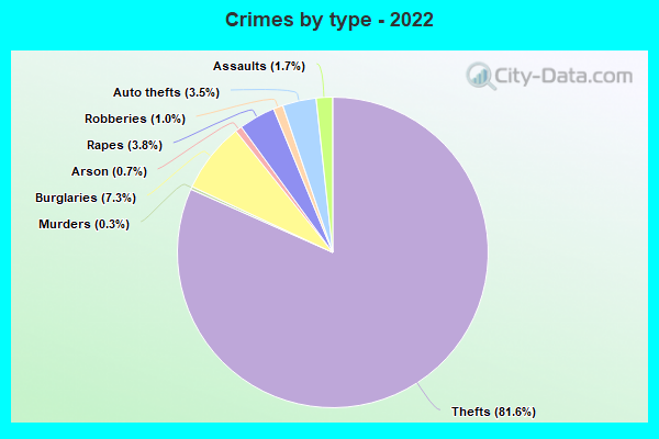 Crimes by type - 2022