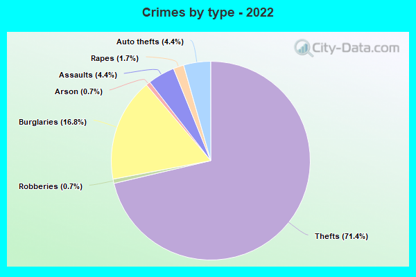 Crimes by type - 2022