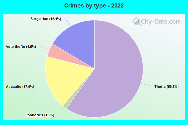 Crimes by type - 2022