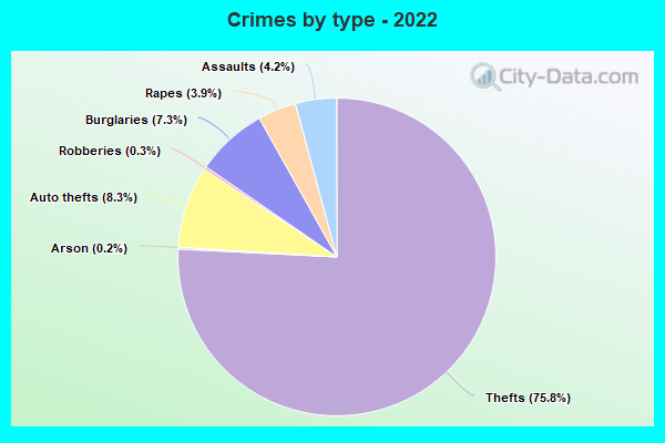 Crimes by type - 2022