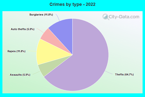 Crimes by type - 2022