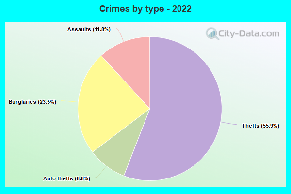 Crimes by type - 2022