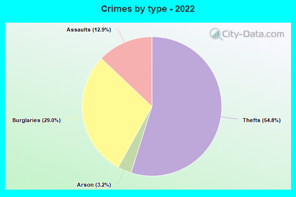 Crimes by type - 2022