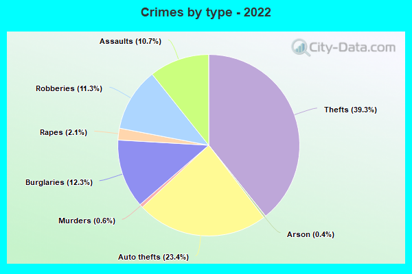 Crimes by type - 2022