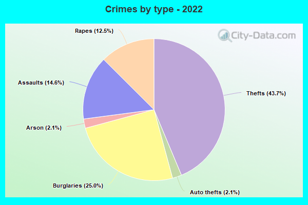 Crimes by type - 2022