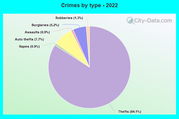 Crimes by type - 2022