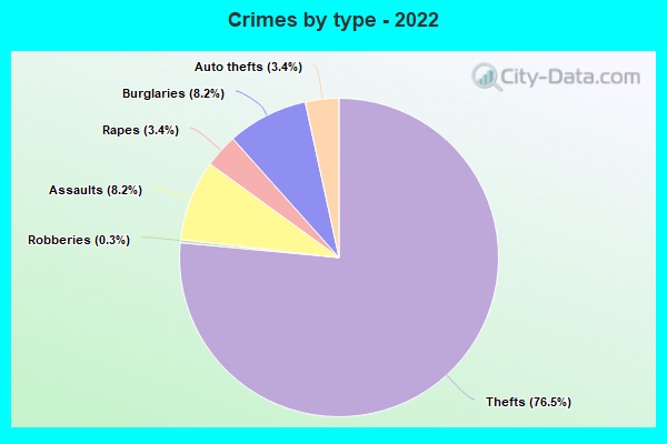 Crimes by type - 2022