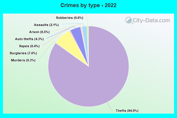 Crimes by type - 2022