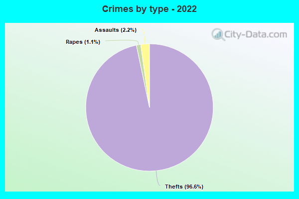 Crimes by type - 2022