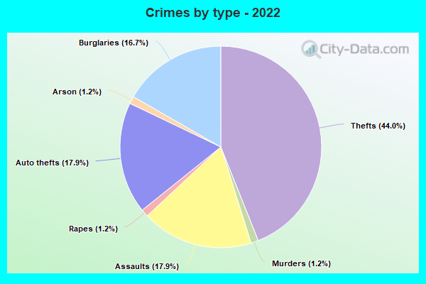 Crimes by type - 2022