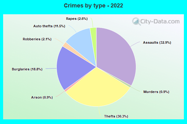 Crimes by type - 2022