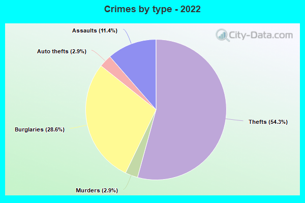 Crimes by type - 2022