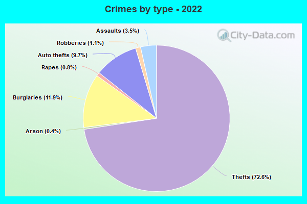 Crimes by type - 2022