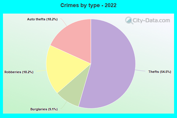 Crimes by type - 2022