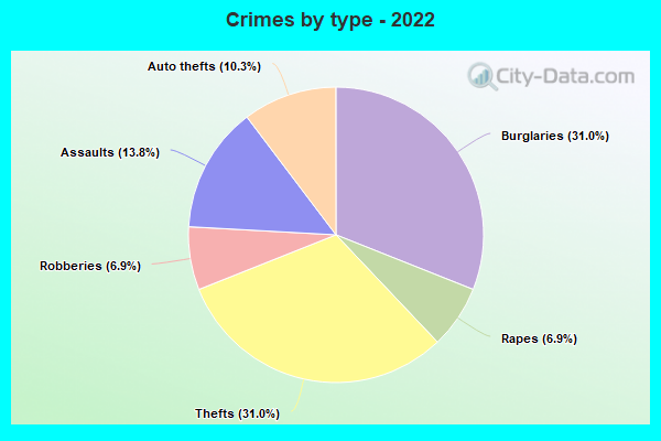 Crimes by type - 2022