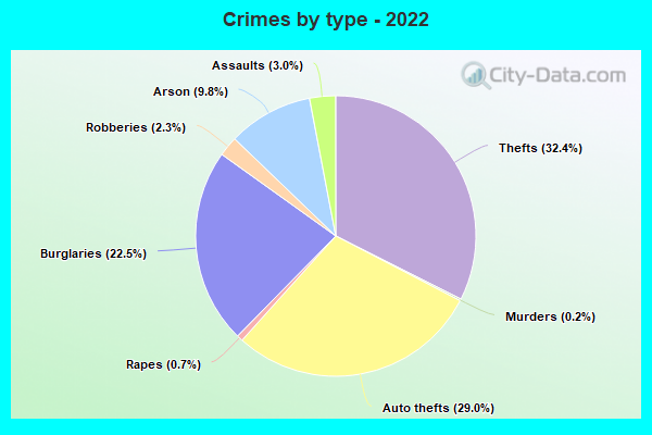 Crimes by type - 2022