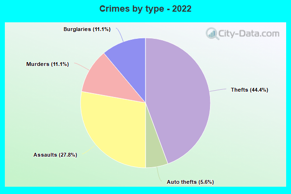 Crimes by type - 2022