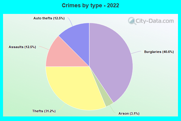 Crimes by type - 2022