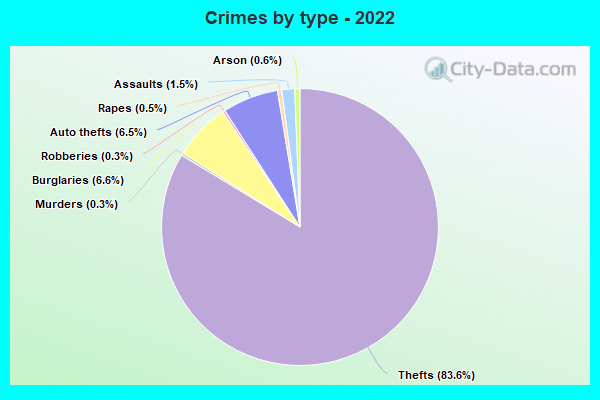 Crimes by type - 2022