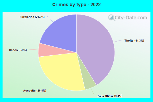 Crimes by type - 2022