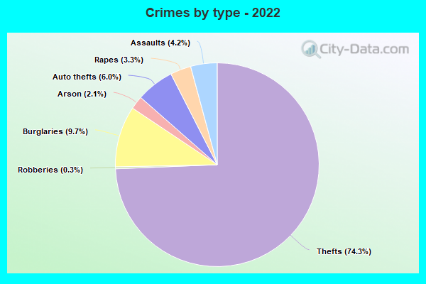 Crimes by type - 2022