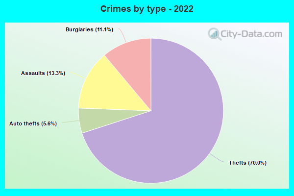 Crimes by type - 2022