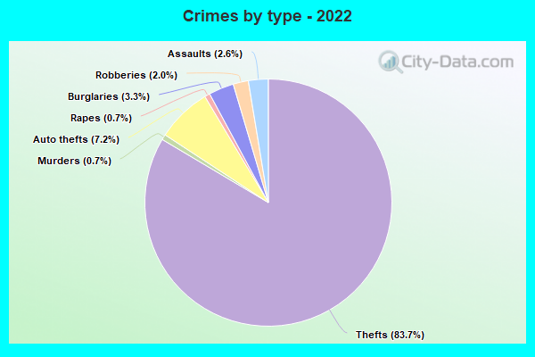 Crimes by type - 2022