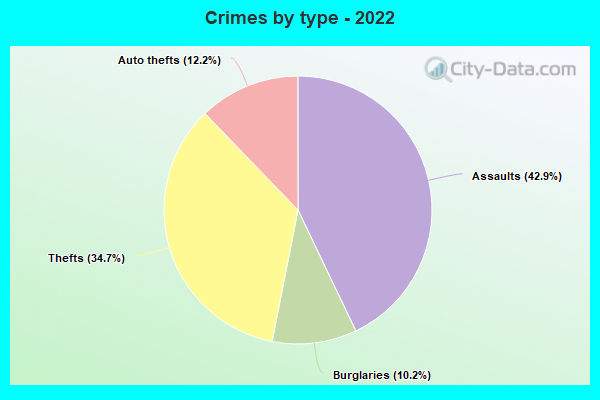 Crimes by type - 2022