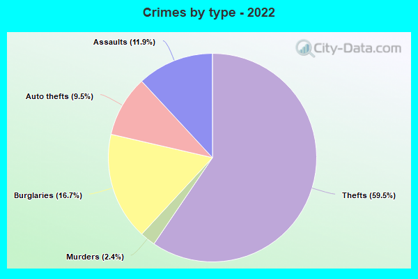 Crimes by type - 2022