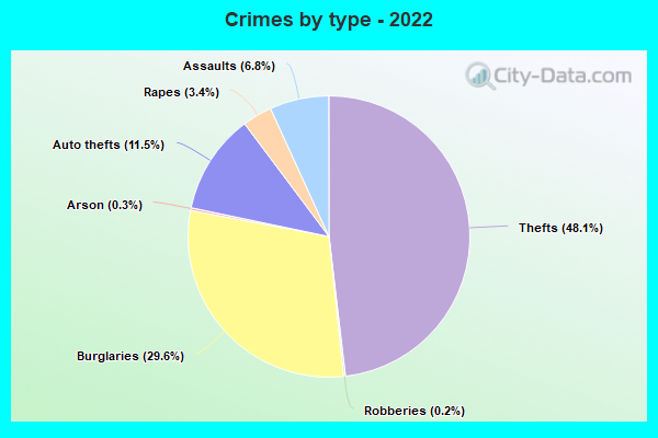 Crimes by type - 2022