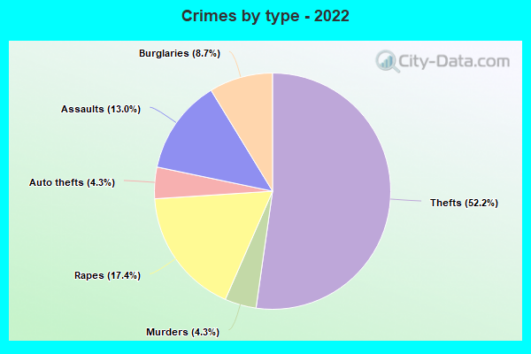 Crimes by type - 2022