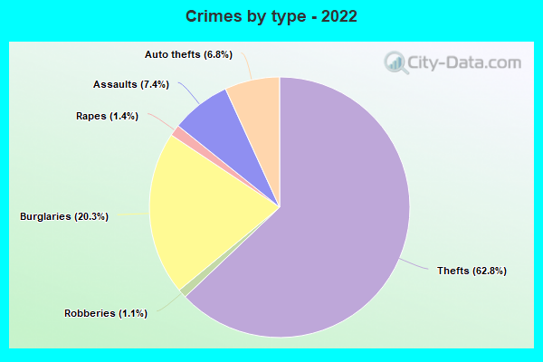 Crimes by type - 2022