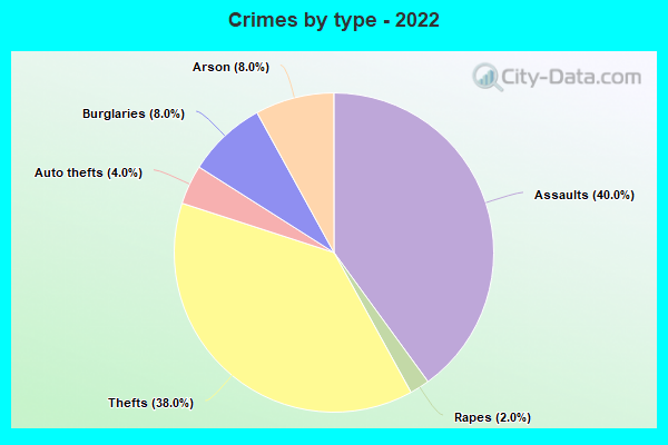 Crimes by type - 2022