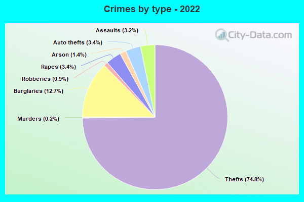 Crimes by type - 2022