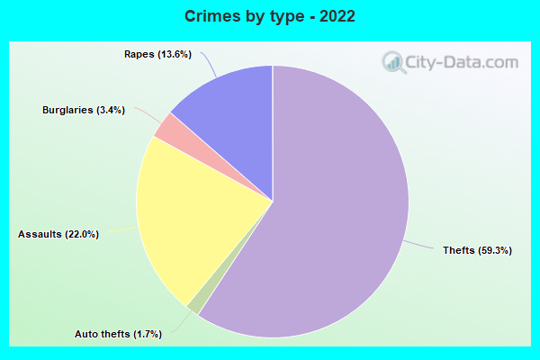 Crimes by type - 2022