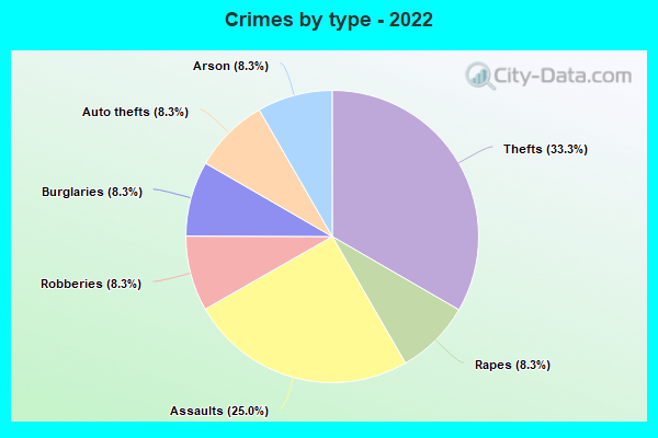 Crimes by type - 2022