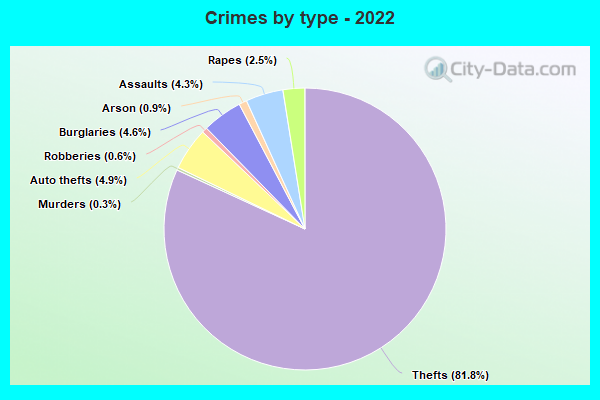 Crimes by type - 2022