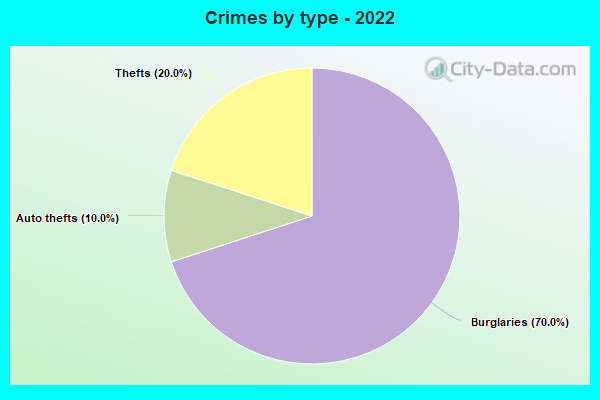 Crimes by type - 2022