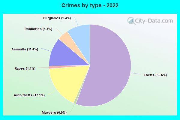 Crimes by type - 2022