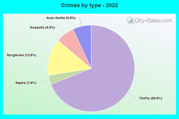 Crimes by type - 2022