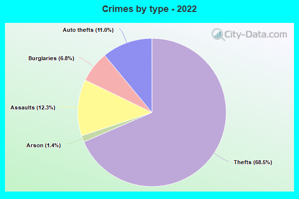 Crimes by type - 2022