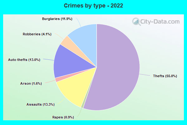 Crimes by type - 2022