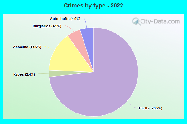 Crimes by type - 2022