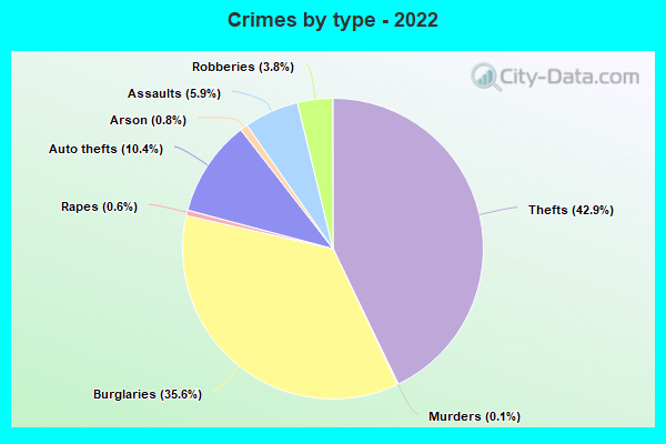 Crimes by type - 2022