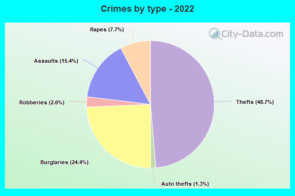 Crimes by type - 2022