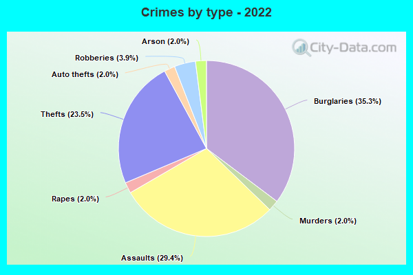 Crimes by type - 2022