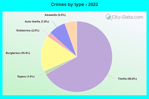 Crimes by type - 2022