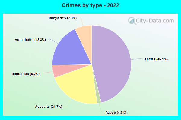 Crimes by type - 2022