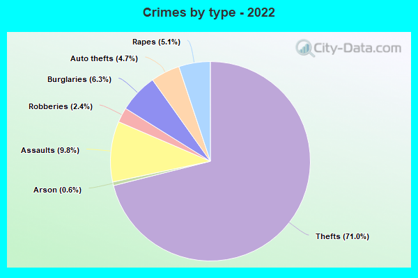 Crimes by type - 2022